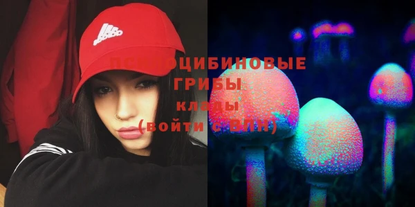 спиды Няндома