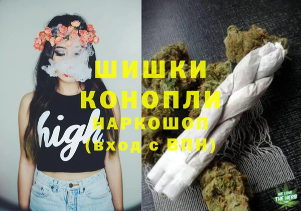 спиды Няндома