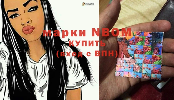 спиды Няндома