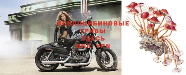 синтетический гашиш Нязепетровск