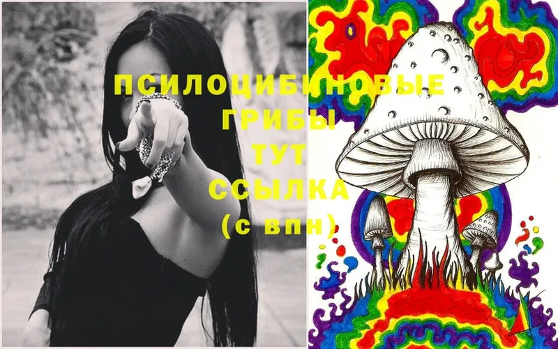 Галлюциногенные грибы Magic Shrooms  купить   Кизел 