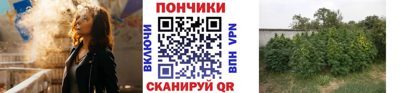 купить наркоту  Кизел  Каннабис AK-47 